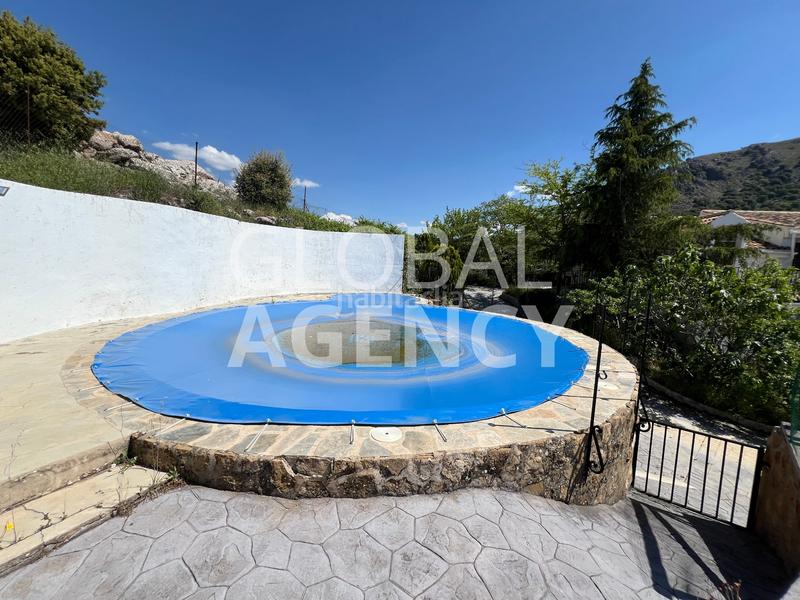 Foto 8a097df1-cce5-4022-9607-b76c8486384b. Finca rústica a Belén - San Roque Jaén