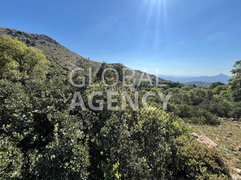 Foto 980c5de3-653b-487c-9562-1fff2a073f5f. Finca rústica a Belén - San Roque Jaén