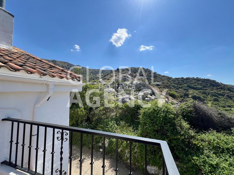 Foto 9cb1feac-48c9-4318-a416-3e79bb39a6f9. Finca rústica a Belén - San Roque Jaén