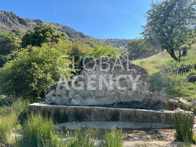 Foto a92885b9-35cf-444a-a834-113744ae8af2. Finca rústica a Belén - San Roque Jaén