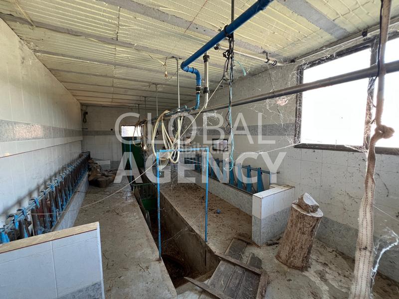 Foto ab18c175-aca6-48b2-9b2e-611cd1f727dd. Finca rústica a Belén - San Roque Jaén