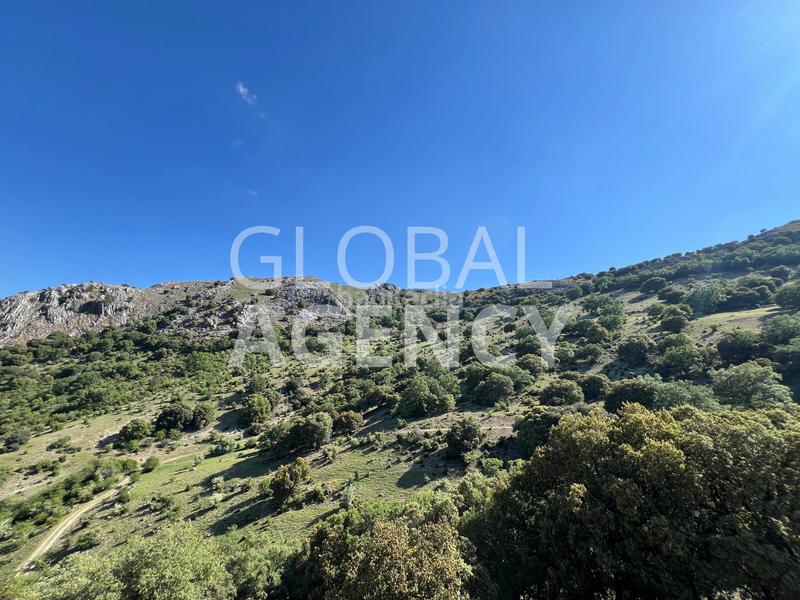 Foto c3450214-4fe5-47b6-a295-5329600a9f7c. Finca rústica a Belén - San Roque Jaén