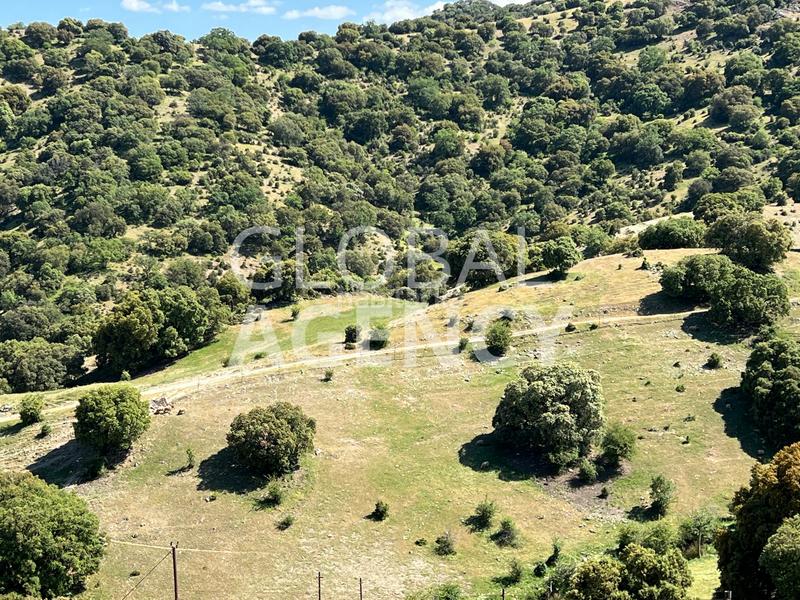 Foto ceeee96d-be8f-440c-9807-2c138eb7d688. Finca rústica a Belén - San Roque Jaén