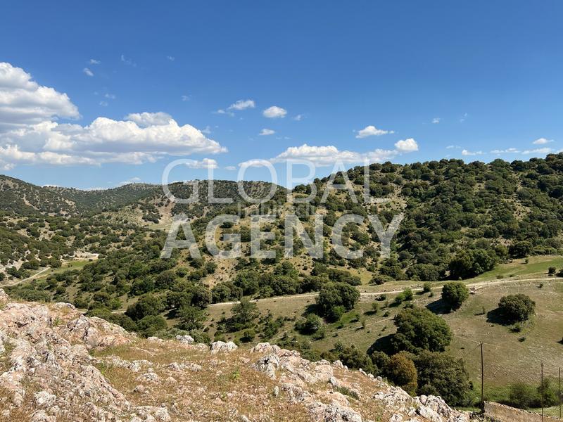 Foto 0fd9fbd2-e6f6-4220-81f7-20c0d58b5453. Masia amb xemeneia calefacció aparcament piscina a Jaén