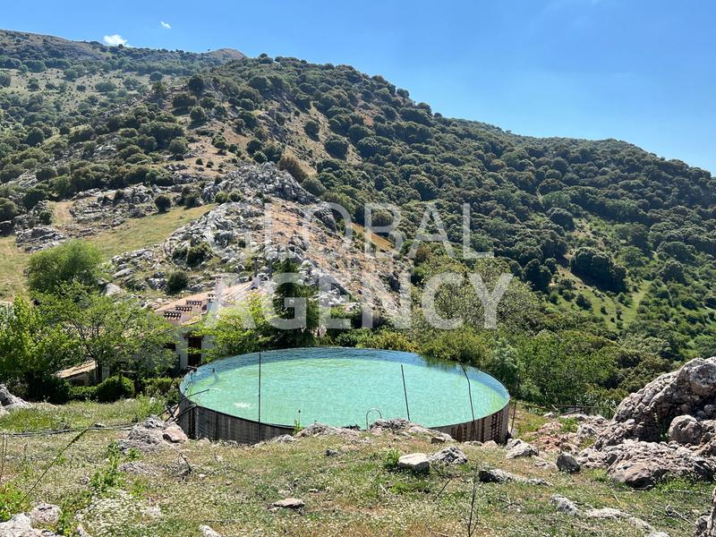 Foto 30b59fe6-2d36-4adf-92fe-0477ef62924e. Masia amb xemeneia calefacció aparcament piscina a Jaén