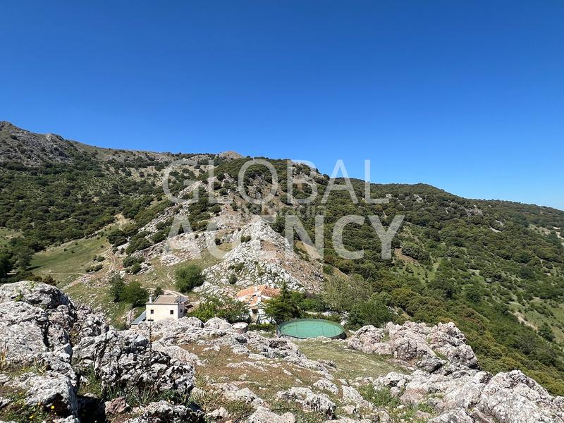 Foto 4b6eed81-d0b2-4afa-94a7-33253d211e82. Masia amb xemeneia calefacció aparcament piscina a Jaén