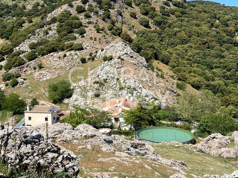 Foto 730751fe-1565-4907-af7e-7d7a0237cfa8. Masia amb xemeneia calefacció aparcament piscina a Jaén