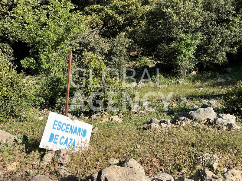Foto 7a0a504e-184f-49f8-9cad-8297b53d27e9. Masia amb xemeneia calefacció aparcament piscina a Jaén