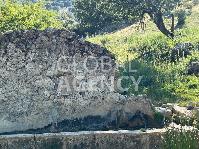 Foto 8366d7f6-839b-4084-bd06-9ae0e3d5e1a6. Masia amb xemeneia calefacció aparcament piscina a Jaén