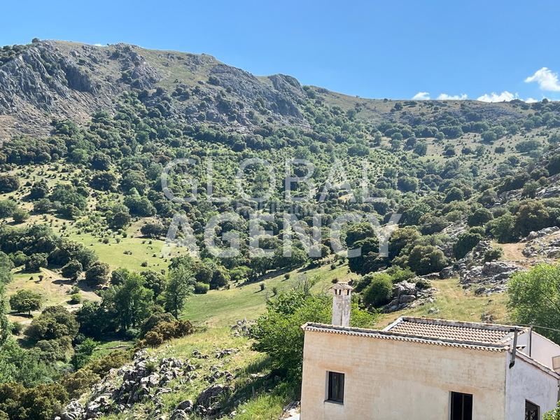 Foto b7e5fb52-6811-4b62-a4c5-f34b934e2366. Masia amb xemeneia calefacció aparcament piscina a Jaén