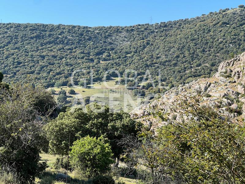Foto d8b68262-306f-45c3-9e60-1584c1744303. Masia amb xemeneia calefacció aparcament piscina a Jaén