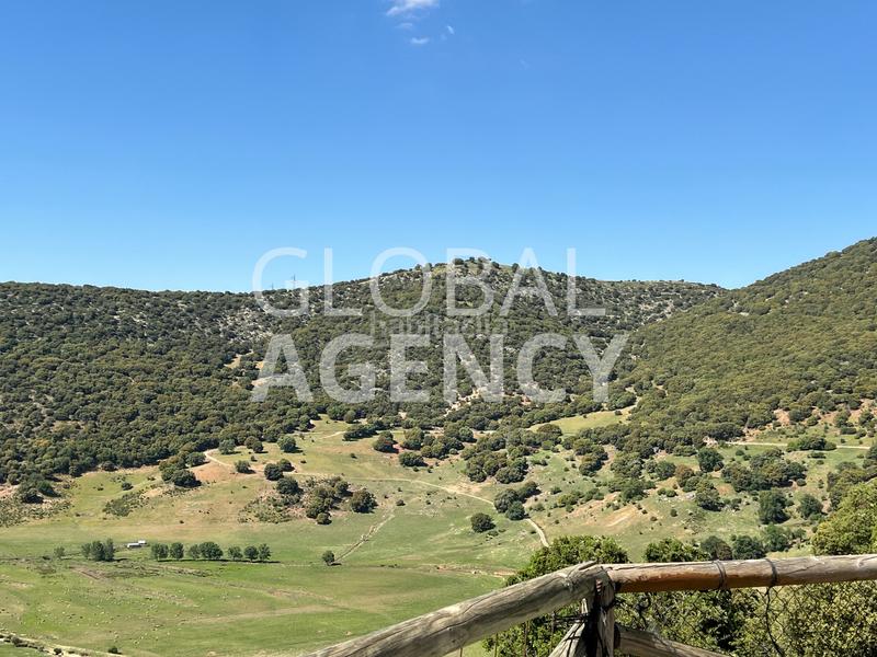 Foto e59956a0-44d3-422f-965a-b17b76a7fae5. Masia amb xemeneia calefacció aparcament piscina a Jaén
