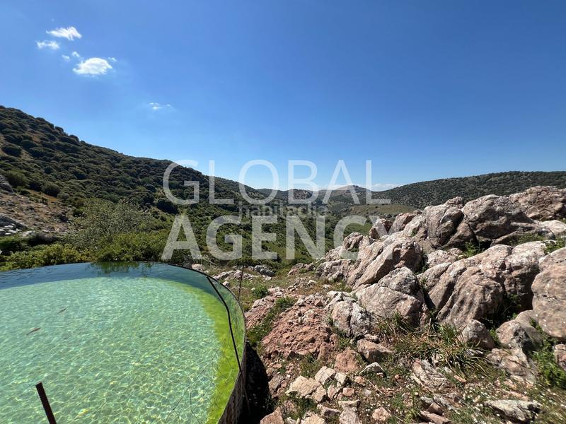 Foto f435a437-e81e-4232-bd49-9bdf119a9546. Masia amb xemeneia calefacció aparcament piscina a Jaén