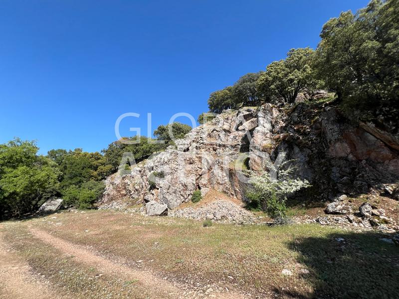 Foto fa8b5289-93c2-4cd1-bcfa-becdd0b1daaa. Masia amb xemeneia calefacció aparcament piscina a Jaén