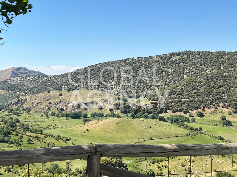 Foto faecf7d2-d1c2-41b0-b03f-5d6c678cc145. Masia amb xemeneia calefacció aparcament piscina a Jaén