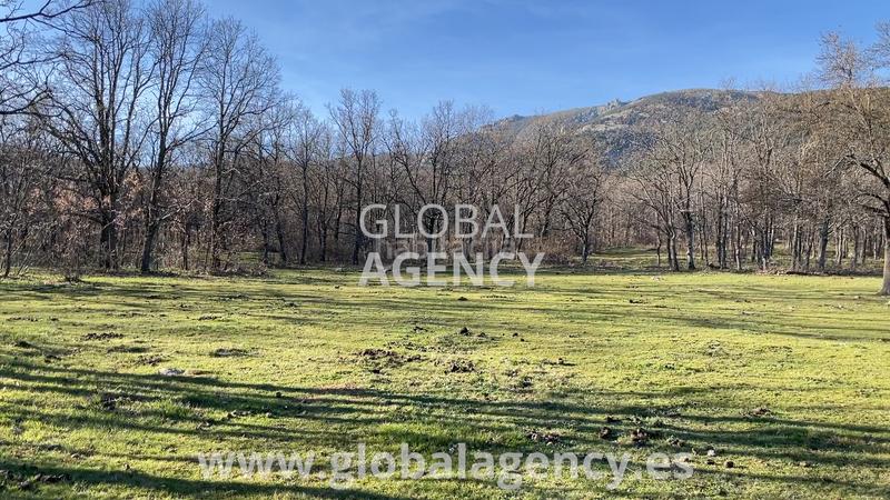 Foto 1c173654-0e41-4578-8a5f-232716ecbda4. Propriété dans Soto del Real