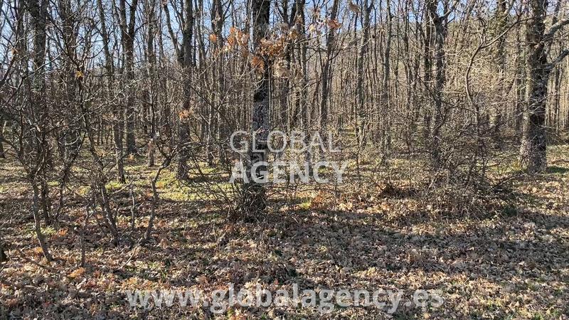 Foto 9823dc65-533c-4c09-8608-f1cdc7ee6d19. Propriété dans Soto del Real