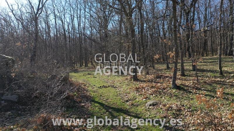 Foto b3c5fca1-cd6c-4ad3-9590-3f536b5d751c. Propriété dans Soto del Real