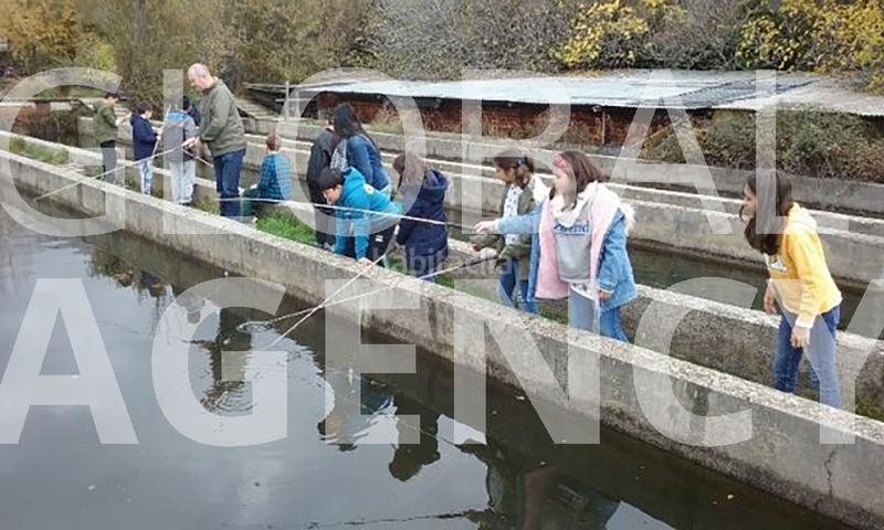 Foto 3648a76b-48f8-4091-aa29-e841c69a80bc. Finca rústica a Manzanares el Real