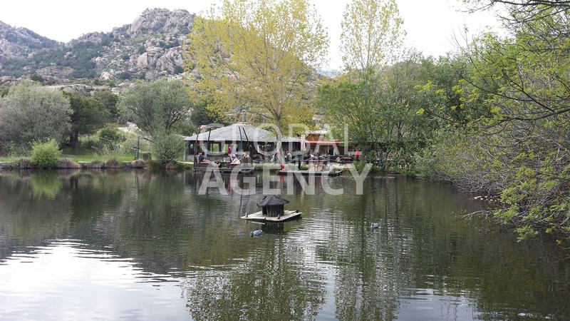 Foto 6e5e20b5-380e-40fc-a133-65c8c1aa2eab. Finca rústica a Manzanares el Real