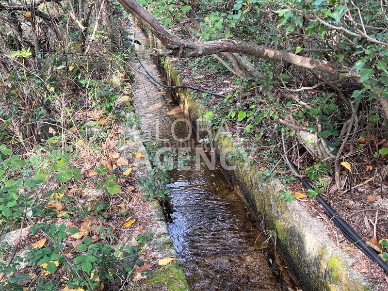 Foto 7cc4a3cd-4e18-46ce-bf66-452437953983. Finca rústica a Manzanares el Real