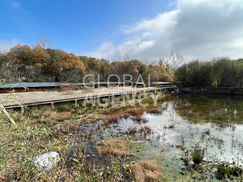 Foto daf25f30-bde7-4f49-b178-05718d8778ef. Finca rústica a Manzanares el Real