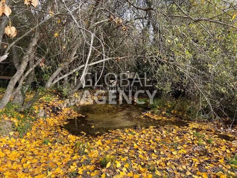 Foto df29addb-3d05-42b9-a00e-06957812bc8f. Finca rústica a Manzanares el Real