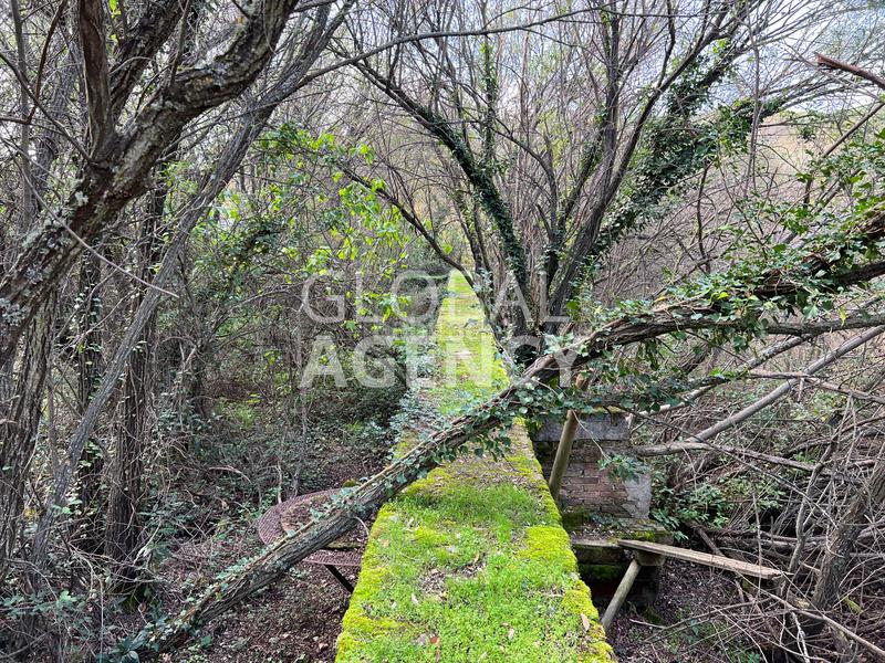 Foto fd827af3-613c-412f-8fa1-53a714bfdac2. Finca rústica a Manzanares el Real