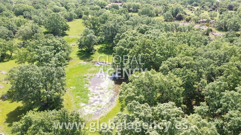 Foto 409bc253-8f61-4bfa-9a84-0a93ddb68afe. Fondo rustico in Centro-Manguilla Escorial (El)