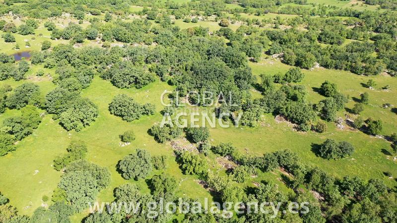 Foto 90520b27-e176-4209-a6fb-41dbd0438f33. Fondo rustico in Centro-Manguilla Escorial (El)