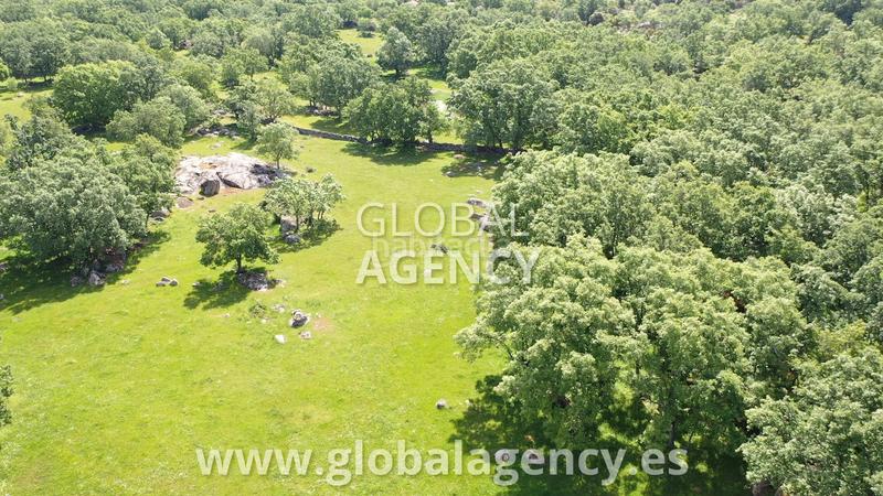 Foto ff87f63e-7bc6-420d-9432-b5f93c7c3533. Fondo rustico in Centro-Manguilla Escorial (El)