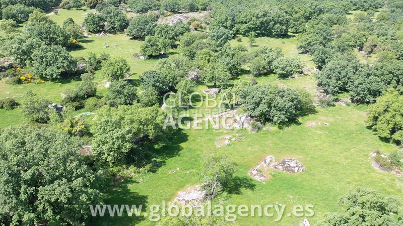 Foto 058901ff-ea14-409e-8110-7209969c0ea7. Landgut in Centro-Manguilla Escorial (El)