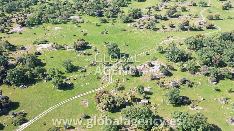Foto 31b1ce62-ba0c-4fbf-86a1-9900d03e8164. Landgut in Centro-Manguilla Escorial (El)