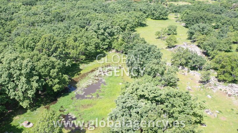 Foto 5fea8d18-5cd3-4cfa-803d-fecb895c748b. Landgut in Centro-Manguilla Escorial (El)