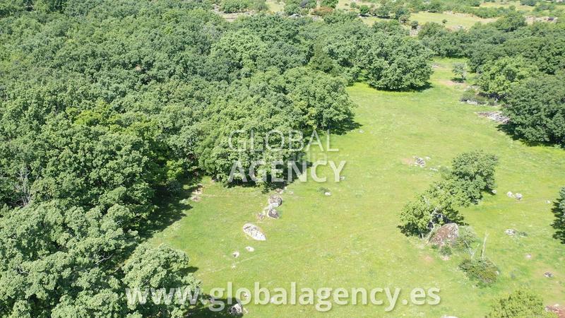 Foto d4a3ff00-df86-42bd-aef6-dc0765d71abf. Landgut in Centro-Manguilla Escorial (El)