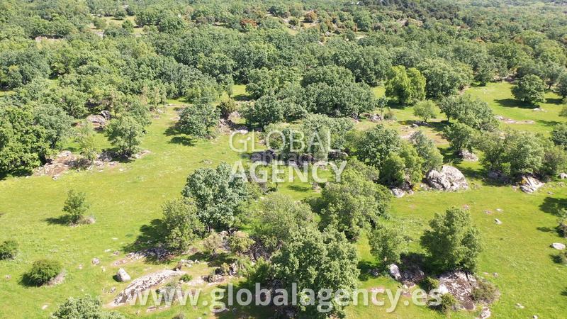 Foto 303e30fe-092a-44fa-a7da-846930c8f3aa. Mas avec cheminée parking dans Centro-Manguilla Escorial (El)