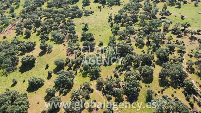 Foto 193a5df5-1bf5-4a59-ba1a-2120e3367335. Mas avec cheminée dans Tejeda de Tiétar