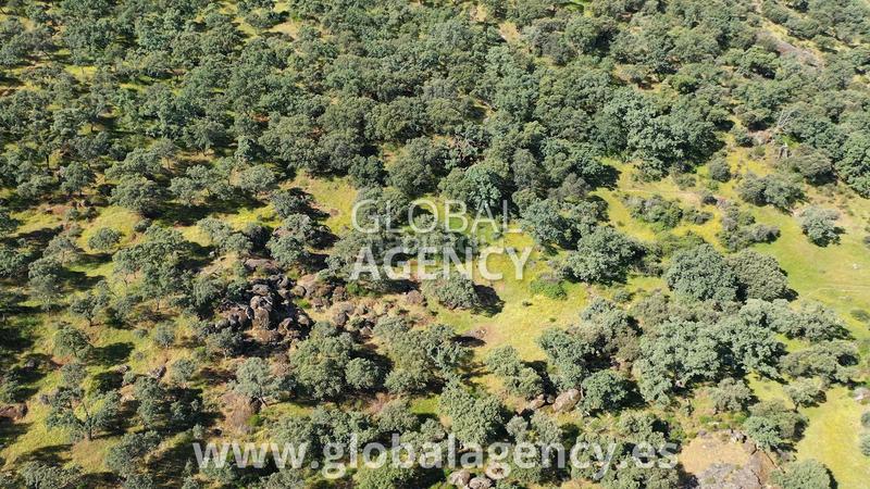 Foto 1e045f0a-33f1-4e6e-a155-d258ce30d86b. Mas avec cheminée dans Tejeda de Tiétar