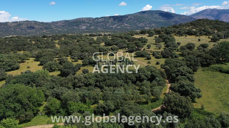 Foto 2f74049f-fb3e-47d1-a62b-84160de7484c. Mas avec cheminée dans Tejeda de Tiétar