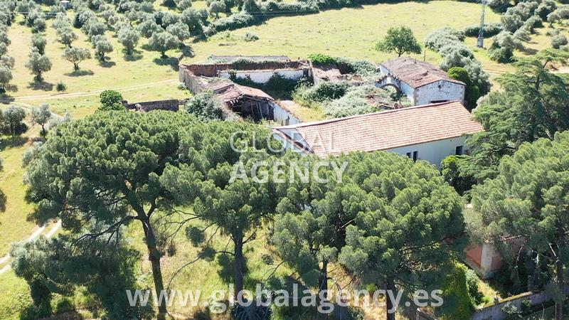 Foto 378c8f50-e0b3-4994-b66f-227ce821440b. Mas avec cheminée dans Tejeda de Tiétar