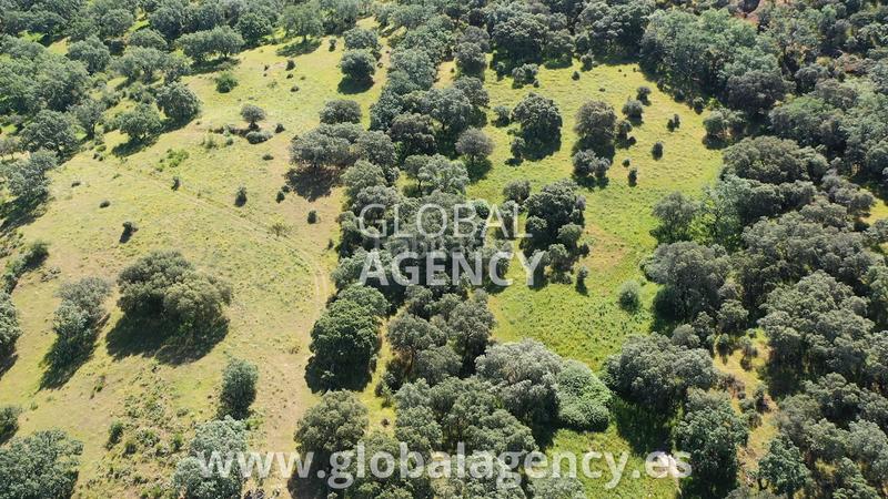 Foto 53846577-3a0b-4e0a-82e6-b342a631887e. Mas avec cheminée dans Tejeda de Tiétar