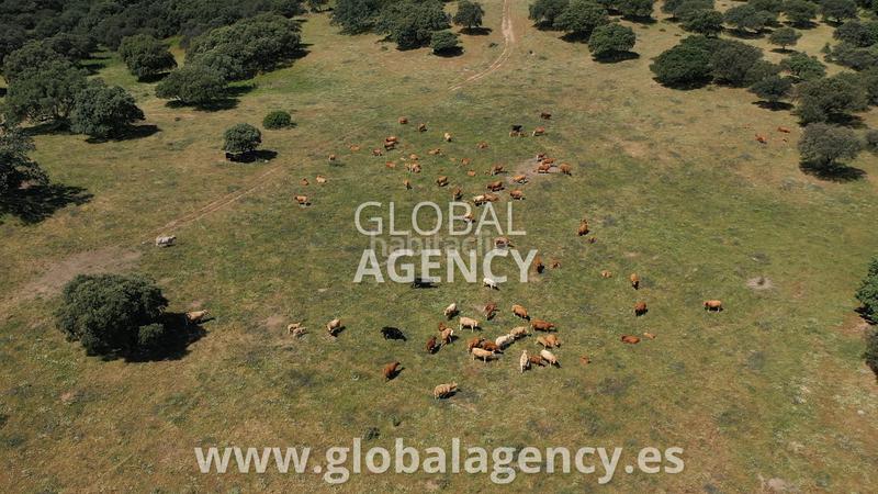 Foto 807b27a8-70ac-4103-a39e-519aed7f9945. Mas avec cheminée dans Tejeda de Tiétar