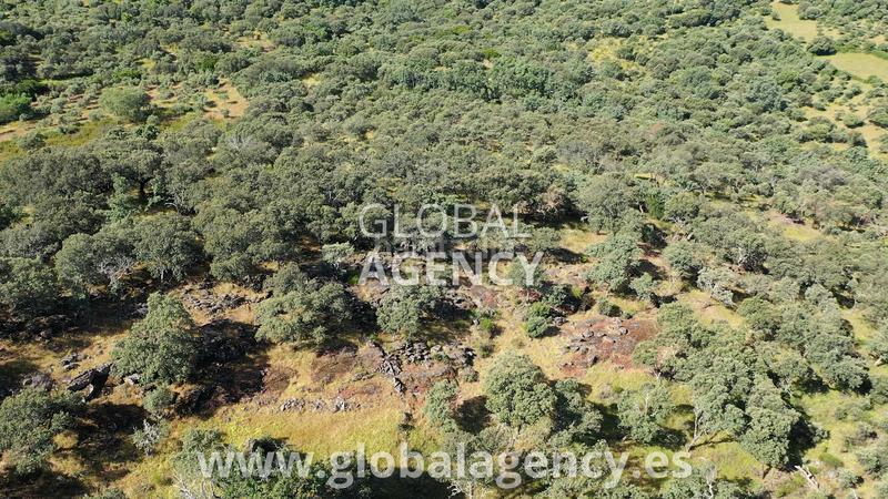 Foto 83024013-31b8-4261-bde4-89a62b481364. Mas avec cheminée dans Tejeda de Tiétar