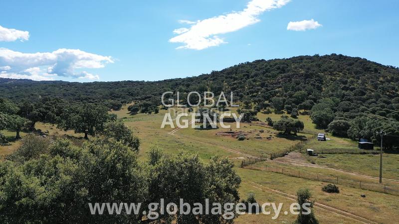 Foto e70e1d4b-0615-4f52-a8e8-6e5883a106ee. Mas avec cheminée dans Tejeda de Tiétar