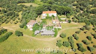Rural plot in Los Pinos - El Pilar