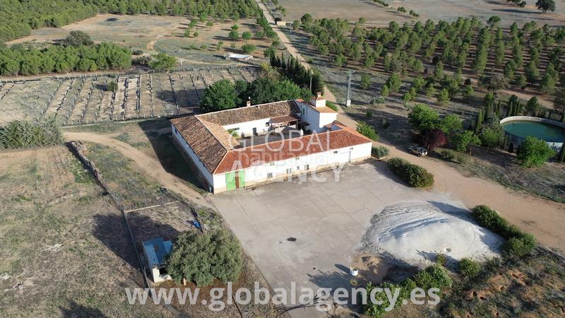 Foto 1817b7bd-8657-4d5d-b197-97b85cccdf44. Fondo rustico in Ensanche - Franciscanos Albacete