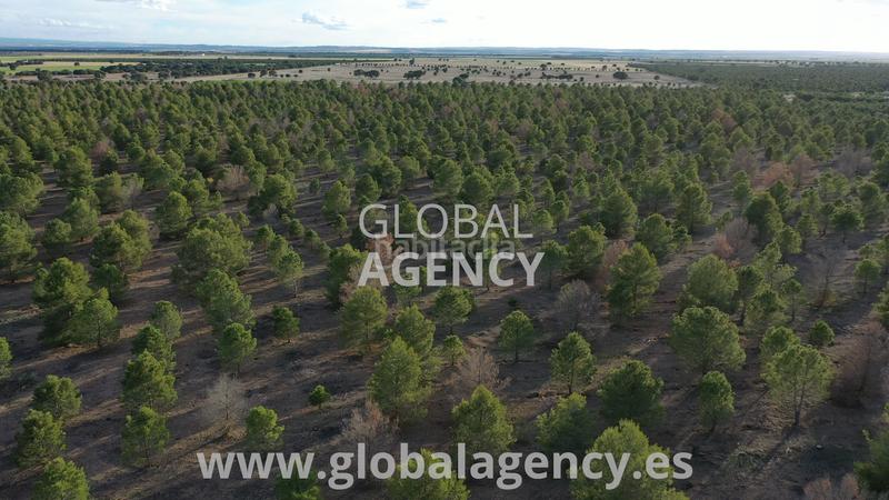 Foto 3e2e581e-7e7b-401b-98f3-f0253669a49e. Fondo rustico in Ensanche - Franciscanos Albacete