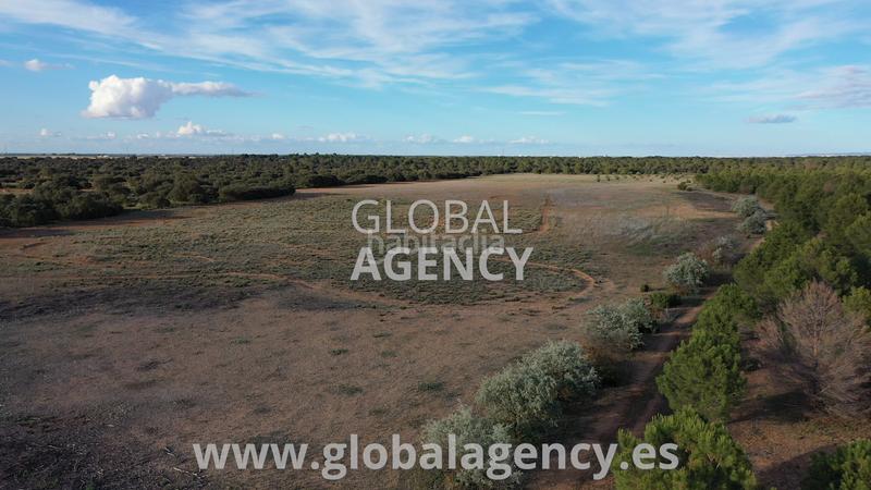 Foto a78686f7-3f94-49d8-a21c-85b4ef7d1006. Fondo rustico in Ensanche - Franciscanos Albacete