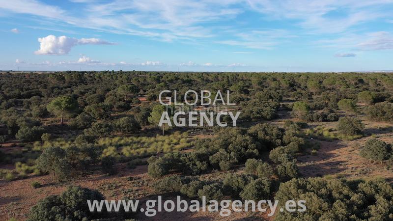 Foto dadd1e31-44c3-48ac-897d-b2a1a5789796. Fondo rustico in Ensanche - Franciscanos Albacete