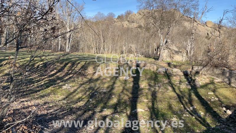 Foto d00fdbae-31c8-4450-a4e3-1cf2312a88e3. Landgut in Soto del Real